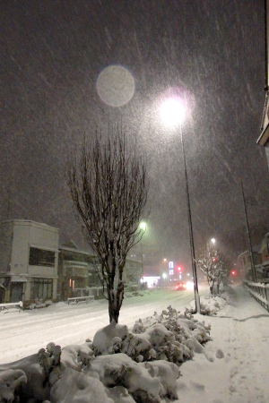 東京に降る雪