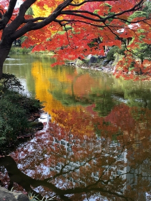 日比谷公園の紅葉