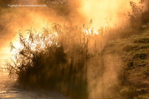 朝日に燃える川霧