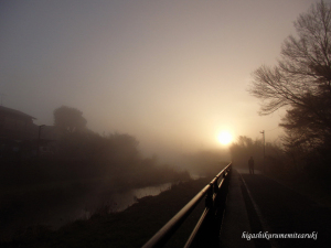 濃霧に覆われた黒目川