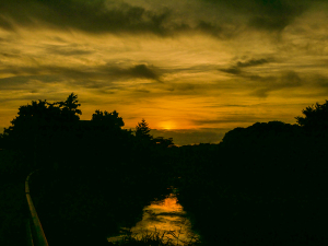 日没の黒目川