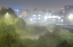 夜霧立つ黒目川