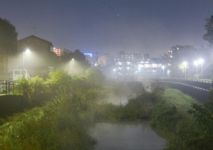 夜霧立つ黒目川